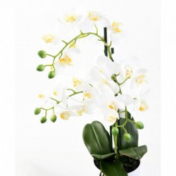 Phalaenopsis Artificielle Pot - 60(h)