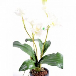 Lycaste Orchidee Artificiel