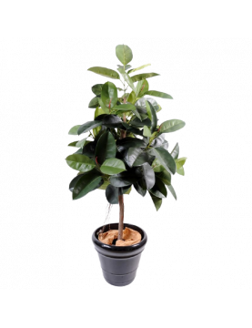 Ficus Artificiel Elastica - 150(h) - Plante artificielle d'intérieur