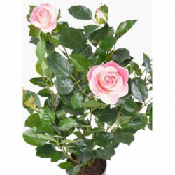 Rosier Artificiel Royal Rose