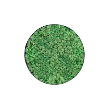 Lichen Nature - Ø50cm - Cadre végétal stabilisé rond