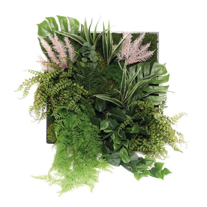 Tropical - 50cm x 50cm - Cadre végétal stabilisé carré