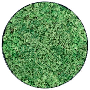 Lichen Nature - Ø90cm - Cadre végétal stabilisé rond