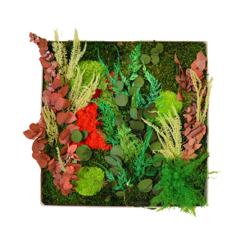 Élégance Végétale - 50cm x 50cm - Cadre végétal stabilisé carré