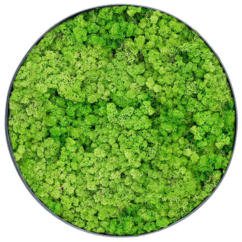 Lichen Light - Ø90cm - Cadre végétal stabilisé rond