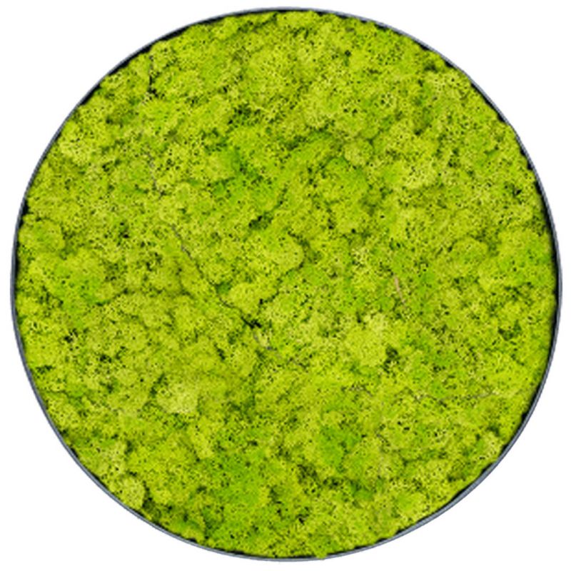 Lichen Lime - Ø90cm - Cadre végétal stabilisé rond