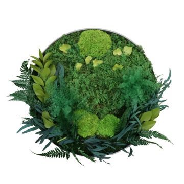Nuances de vert - Ø50cm - Cadre végétal stabilisé rond