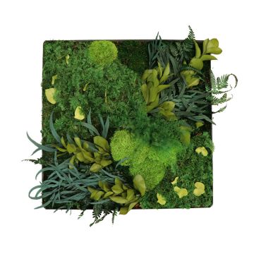 Nuances de vert - 50cm x 50cm - Cadre végétal stabilisé carré