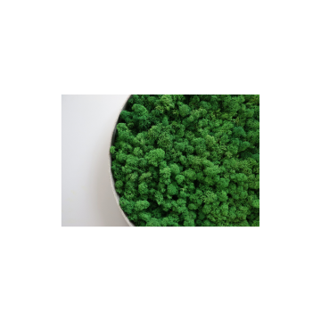 Lichen Nature - Ø50cm - Cadre végétal stabilisé rond - zoom
