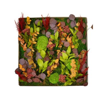 Reflets d'automne 50cm x 50cm - Cadre végétal stabilisé carré