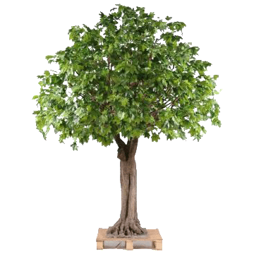 Feuillus artificiels - Arbres artificiels | Florabora Home