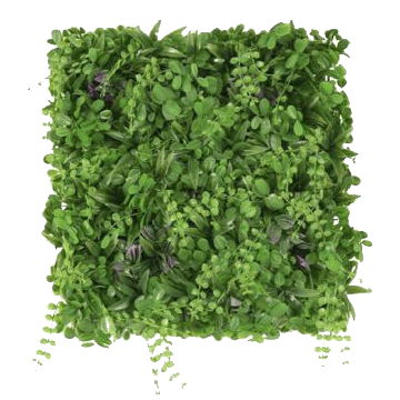 Plaque végétale artificielle - Mur végétal artificiel | Florabora Home