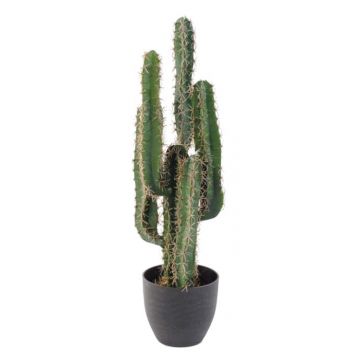 Cactus artificiels, achat en ligne - Florabora Home