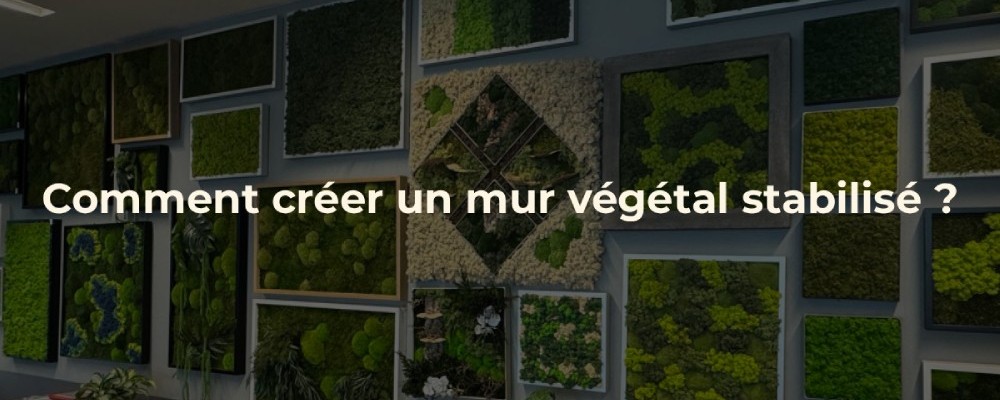 Mur végétal stabilisé