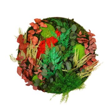 Tableau végétal stabilisé rond Élégance Végétale - Ø50cm