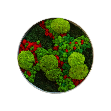 https://florabora-home.com/img/cms/Contenus CMS/DIY mur végétal stabilisé/nuances-de-vert-50cm-rond.jpg