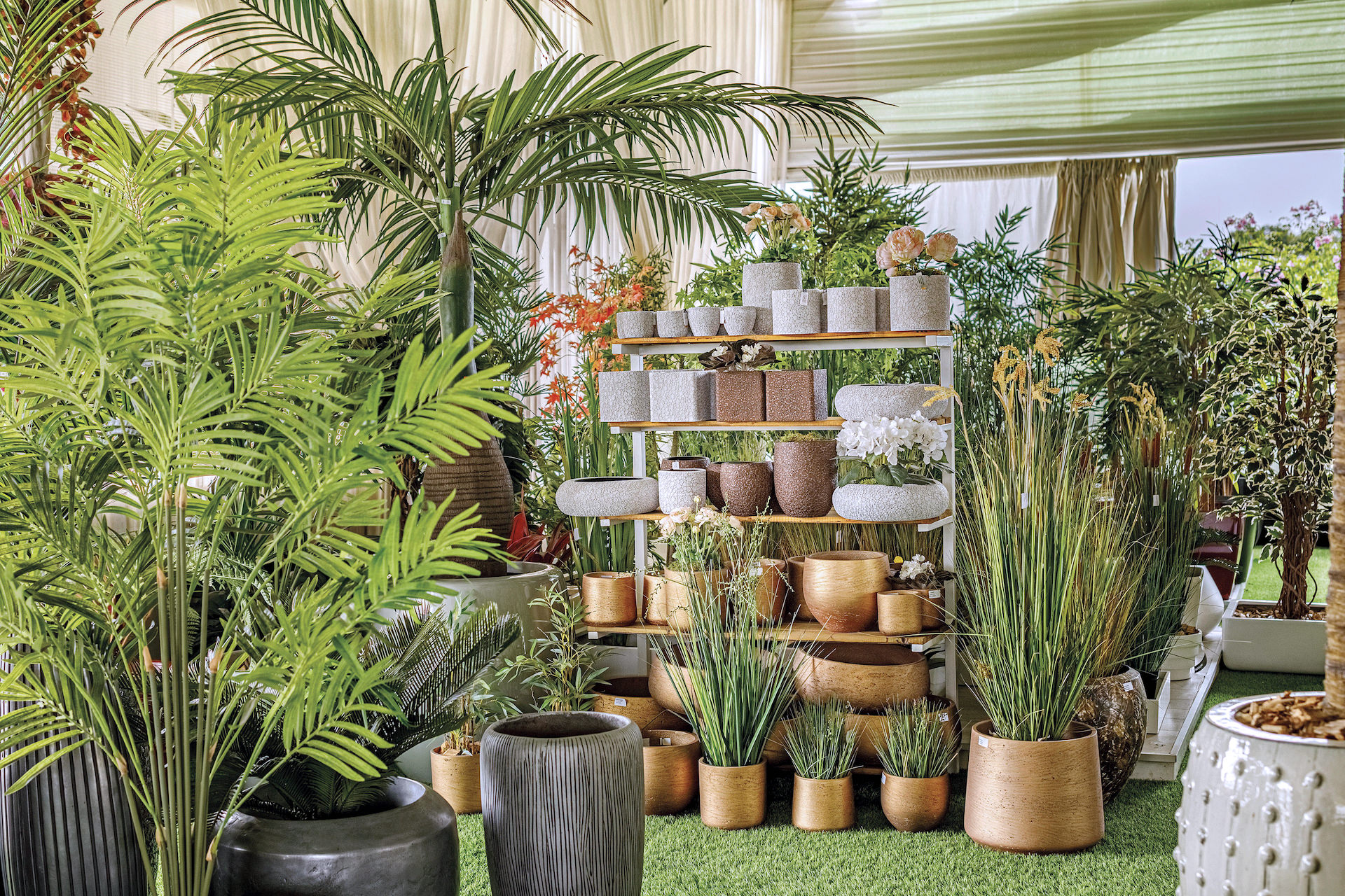 showroom-plantes-artificielles