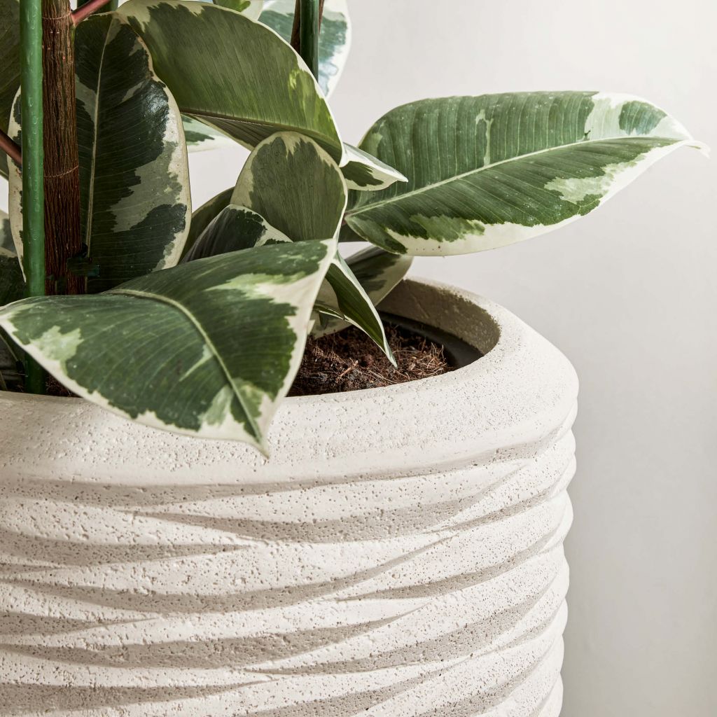 Voici la nouvelle adresse pour s'offrir des plantes dans des pots ultra  déco - Elle Décoration